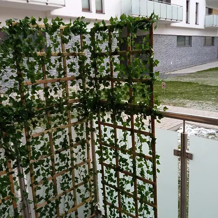 Elmar Appartamento *